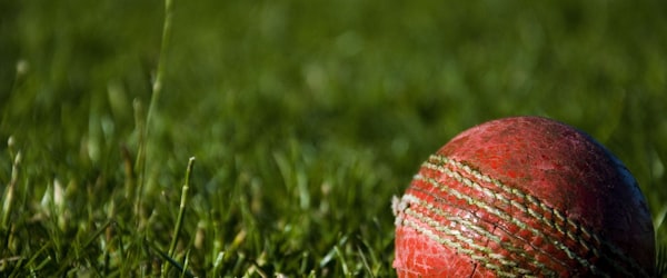 世界杯各比赛场馆天气状况与出行指南